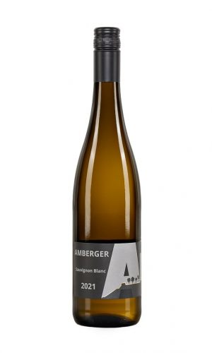 Sauvignon Blanc 2021 Weisswein vorne Amberger-min